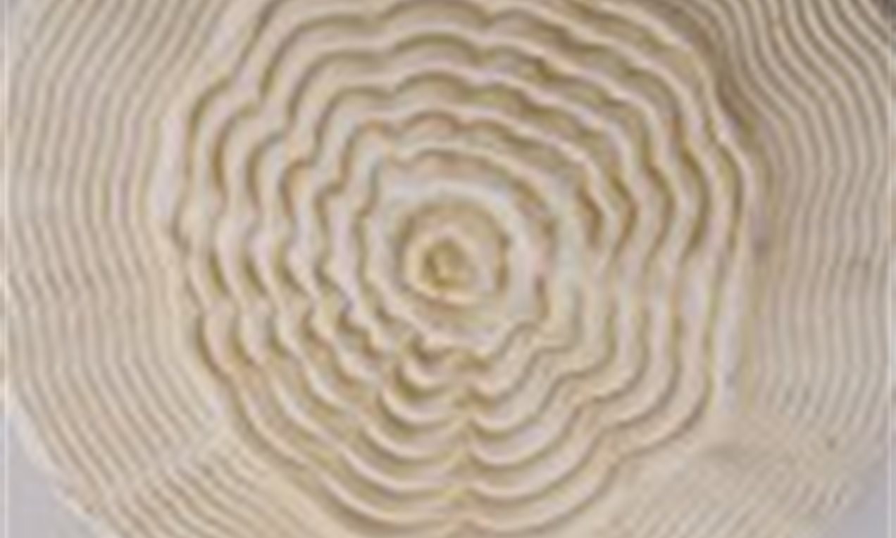 Picture - Kamm Rosette