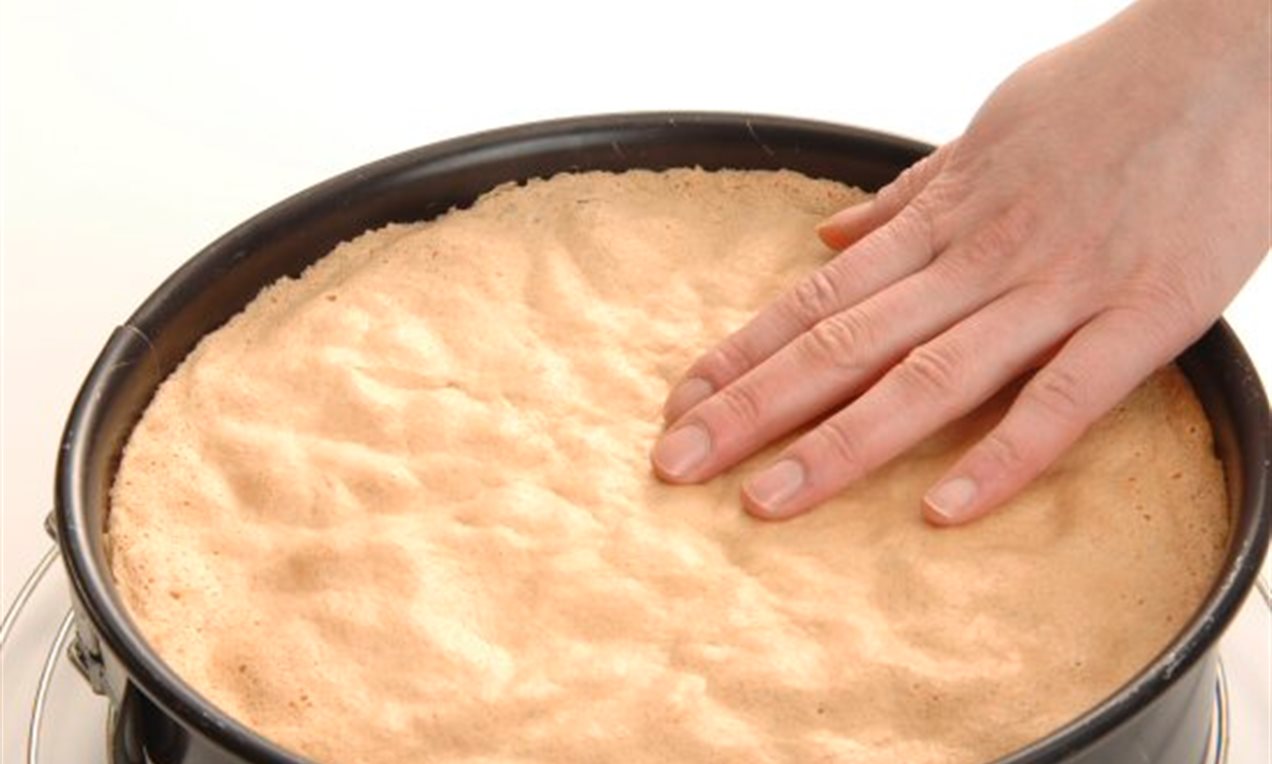 Picture - Garprobe Hand